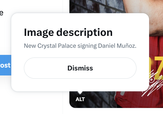 A screenshot of alt text on a Crystal Palace X post that reads "New Crystal Palace signing Daniel Munoz"